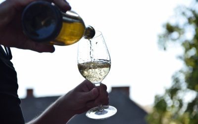 Comment reconnaitre un vin qui a tourné ?