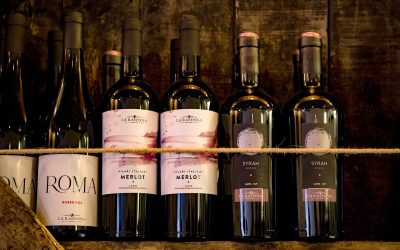 Quel vin italien choisir ?