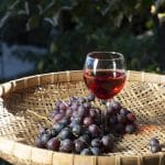 vin oac Languedoc