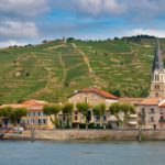 Explorez les vins de la vallée du Rhône et leurs accords merveilleux