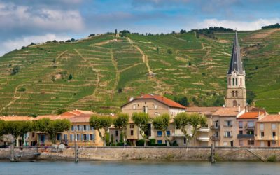 Explorez les vins de la vallée du Rhône et leurs accords merveilleux