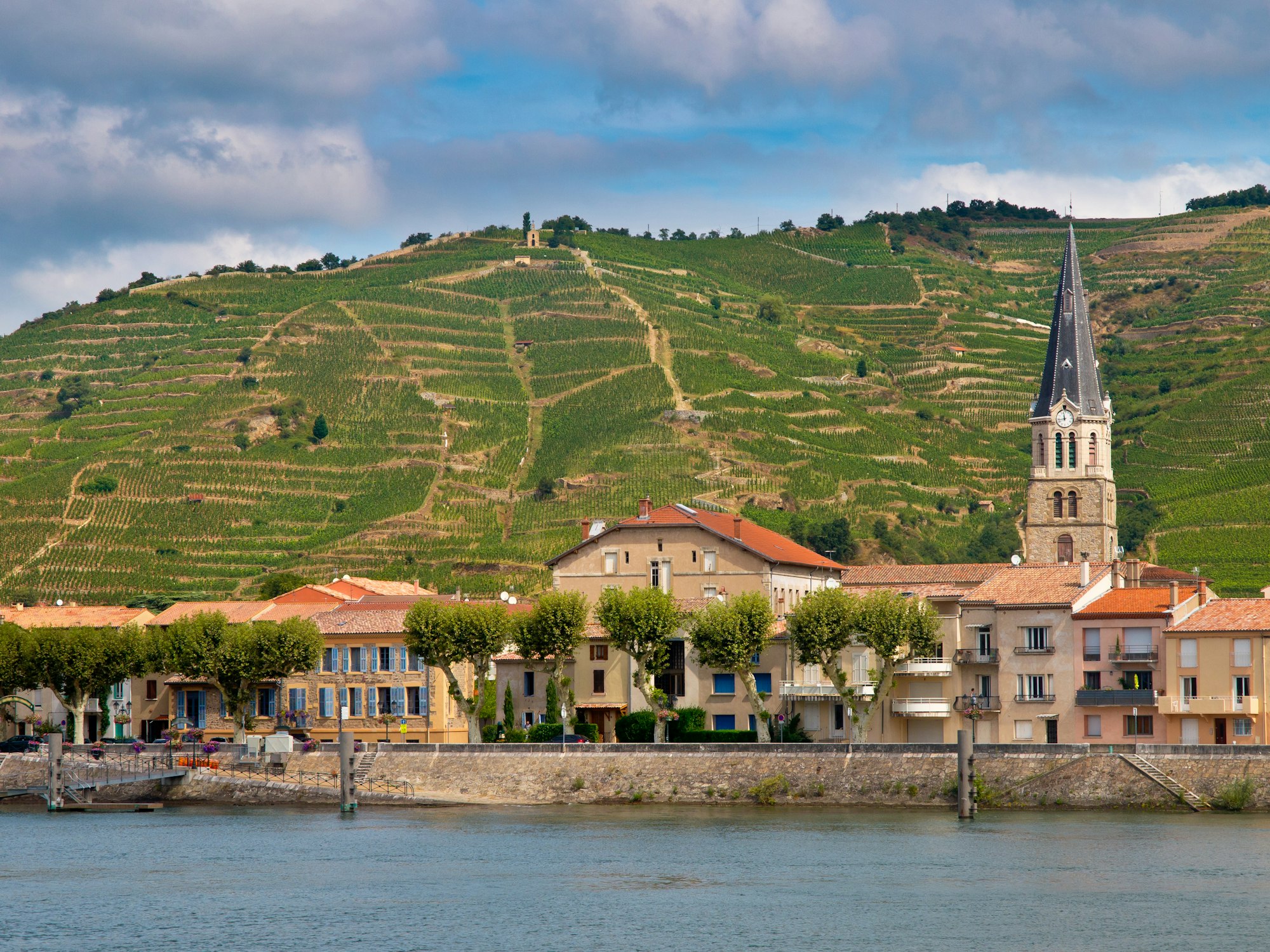 Explorez les vins de la vallée du Rhône et leurs accords merveilleux