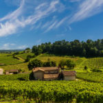 Quels sont les meilleurs vins de Bordeaux ?