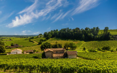 Quels sont les meilleurs vins de Bordeaux ?