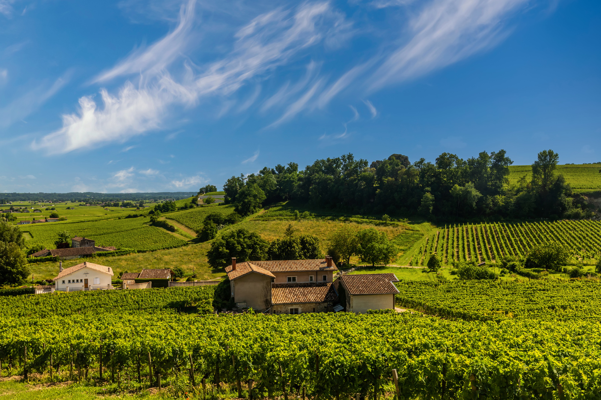 Quels sont les meilleurs vins de Bordeaux ?